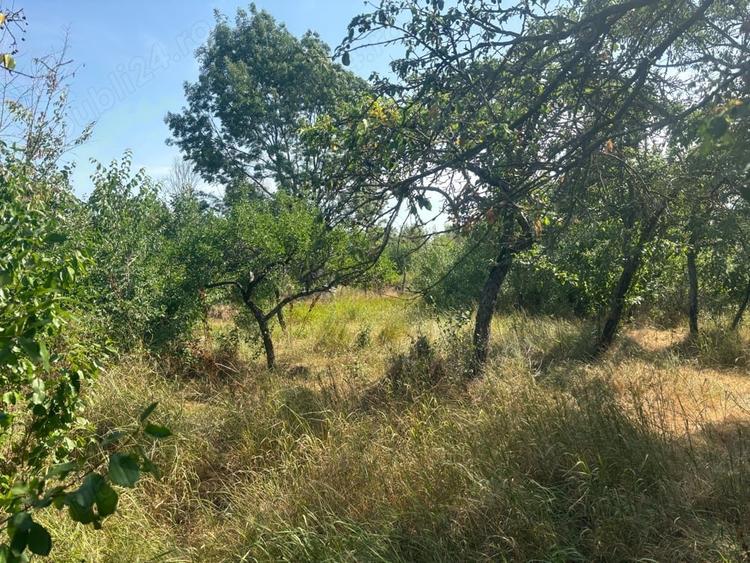 Teren de 2395 mp, în Central