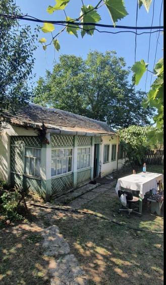 Casa Verbita+Livada de Pruni - 6