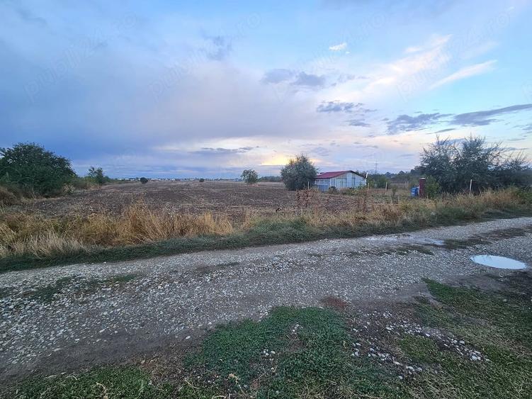 teren Cornetu Ilfov, strada Fagului - 2