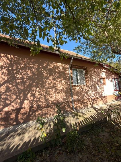 Casă individuală cu 2 camere cu Teren 1270 Mp în Cozieni