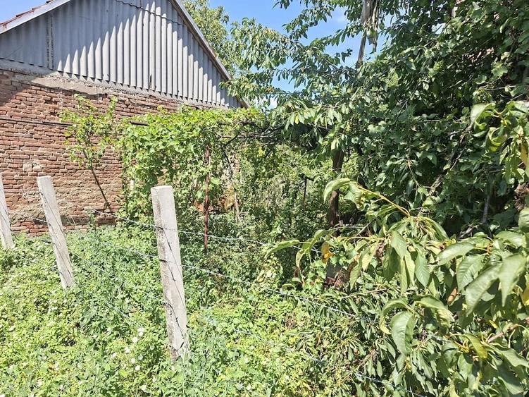 Casă cu 6 camere cu Teren 2000 Mp în Sântuhalm