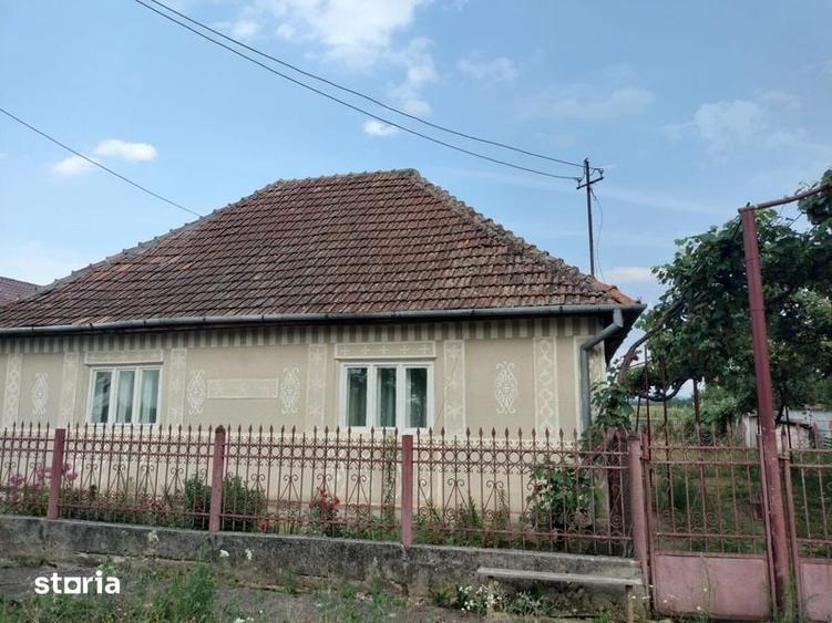 Teren de vanzare in Livada, Satu Mare - 2
