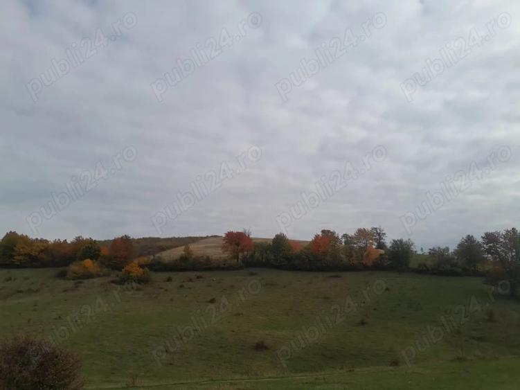 De vanzare,Tomnatic Bihor - 5