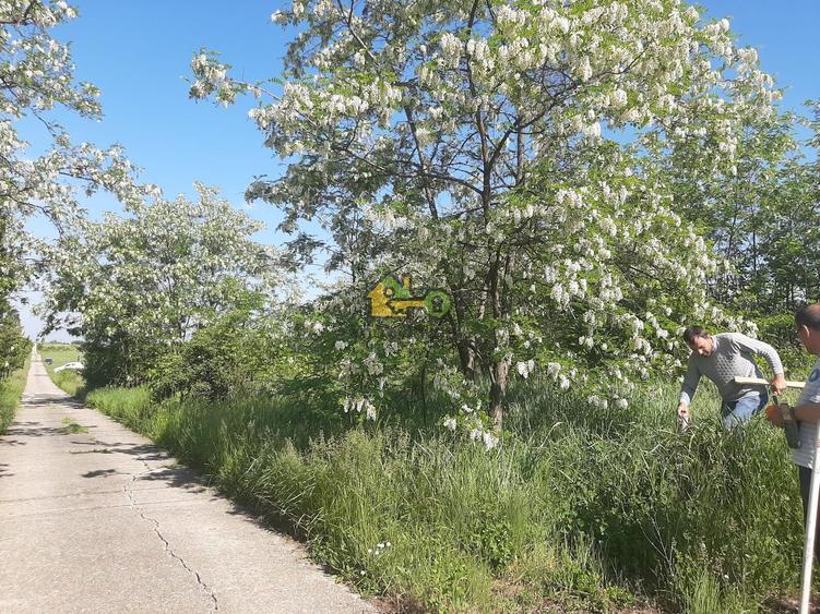 Teren agricol extravilan de 21434 mp, în Nord-Est