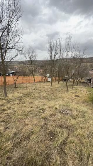 Teren de 1064 mp, în Bârlea