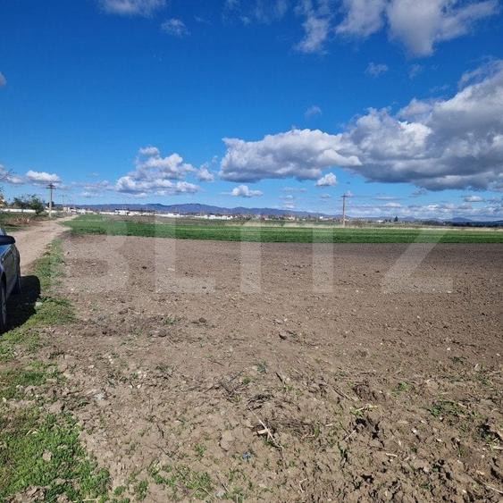 Teren agricol extravilan de 15000 mp, în Bod