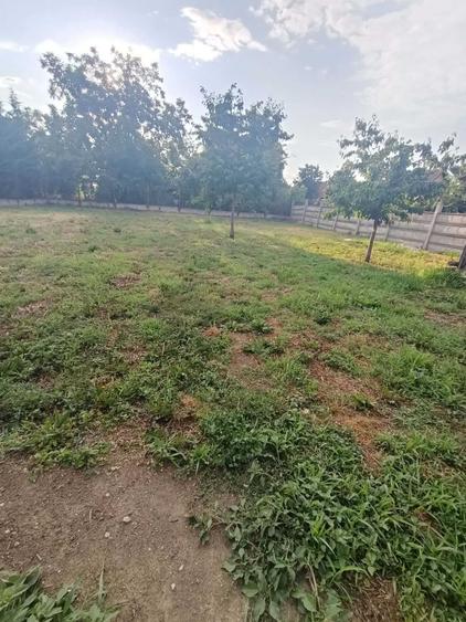 Vand casa in Satu Mare zona Magnoliei - 4