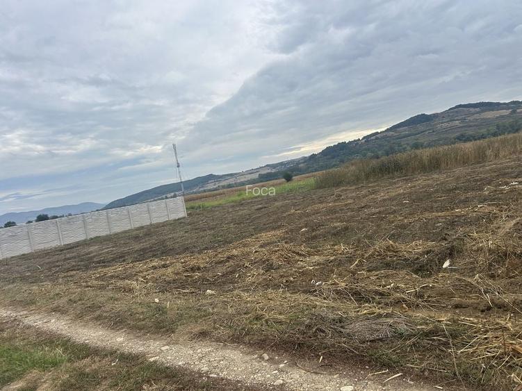 Ocazie!!! Teren intravilan Bacia