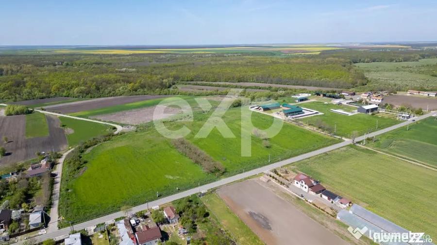 Black Angus Farm with authorized Slaughterhouse - 9