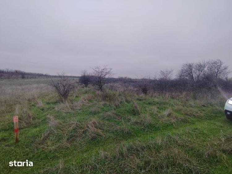 Teren de 2500 mp, în Cârcea