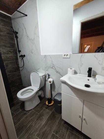 Casă cu 3 camere în Văliug