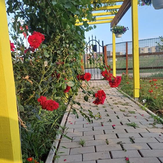 Casă cu 3 camere în Central