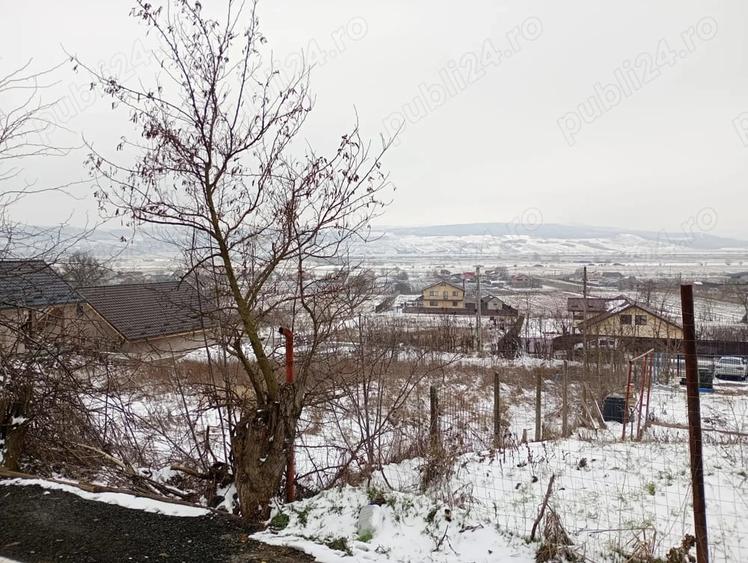 Teren de 1490 mp, în Secuia