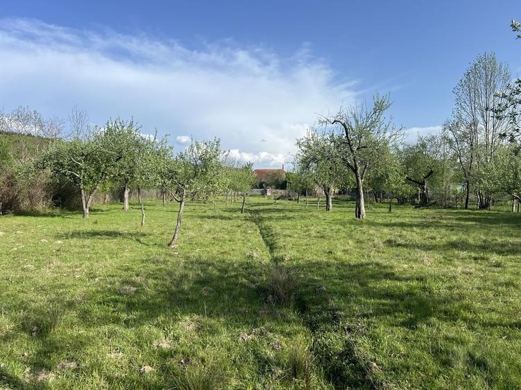 Casă cu 3 camere în Vărzari