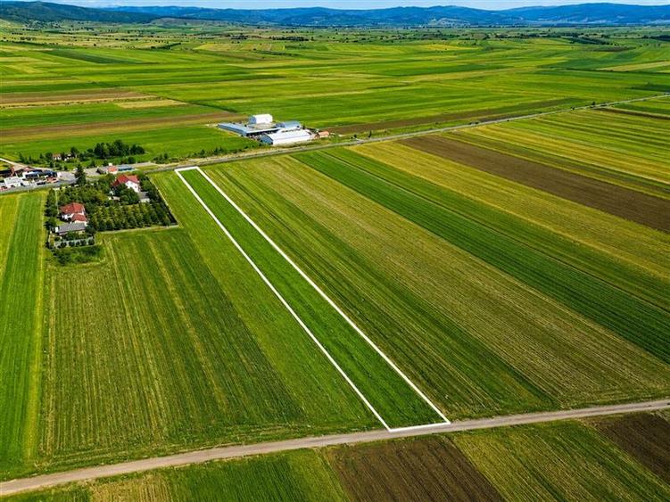 Teren Construcții intravilan de 7500 mp, în Cernat