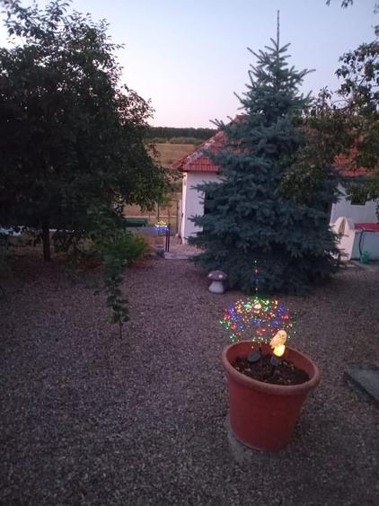 Casă individuală cu 2 camere cu Teren 3525 Mp în Șauaieu