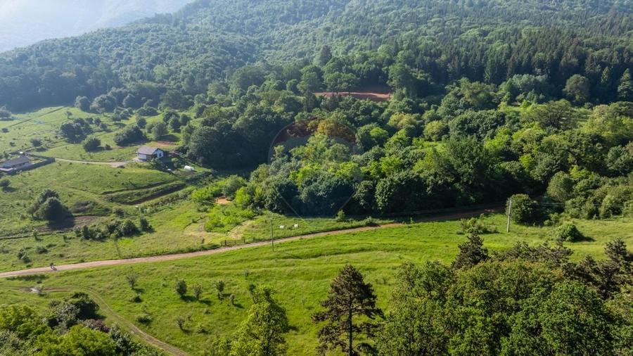 Teren 1.375 mp în Cristian, lângă Mănăstirea Sfântul Efrem cel Nou - 6