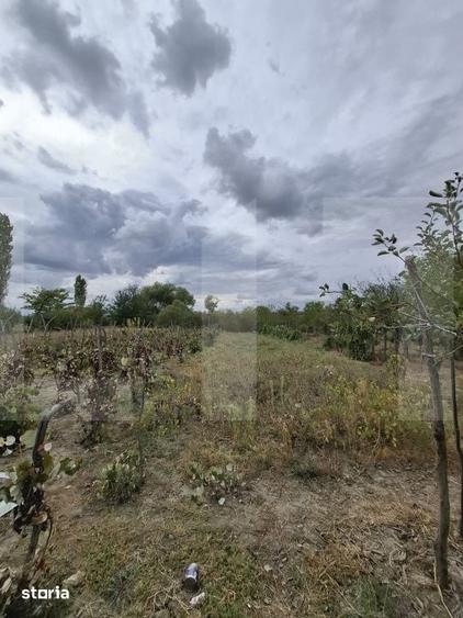Casă cu 3 camere cu Teren 2252 Mp în Valea Mare