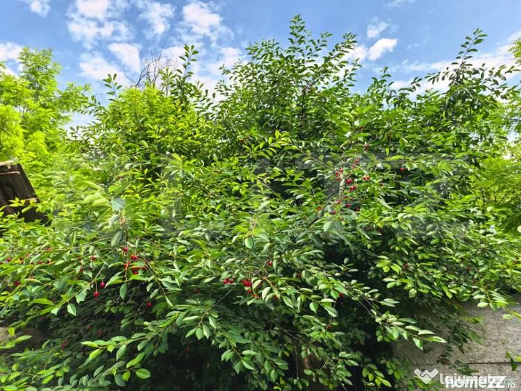 Casă cu 4 camere cu Teren 3000 Mp în Răducăneni