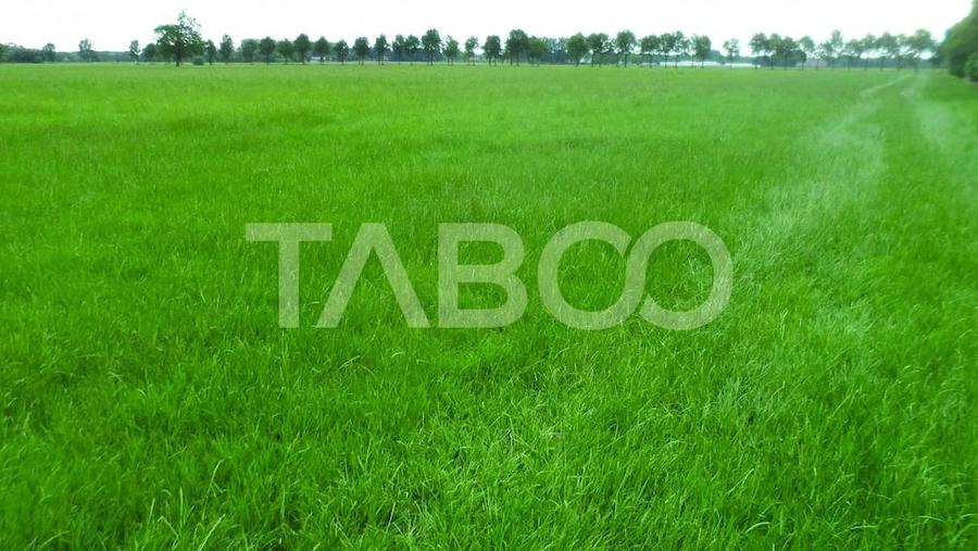 Teren de 7000 mp, în Vest