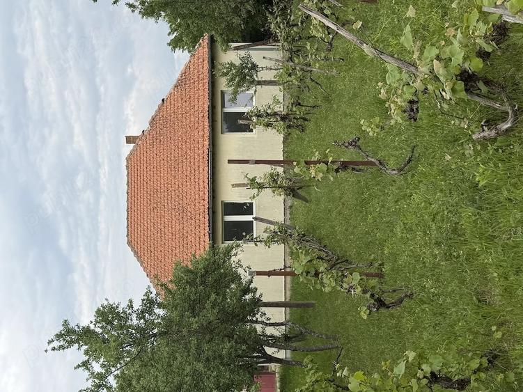 Casă cu Teren 300 Mp în Căpâlna