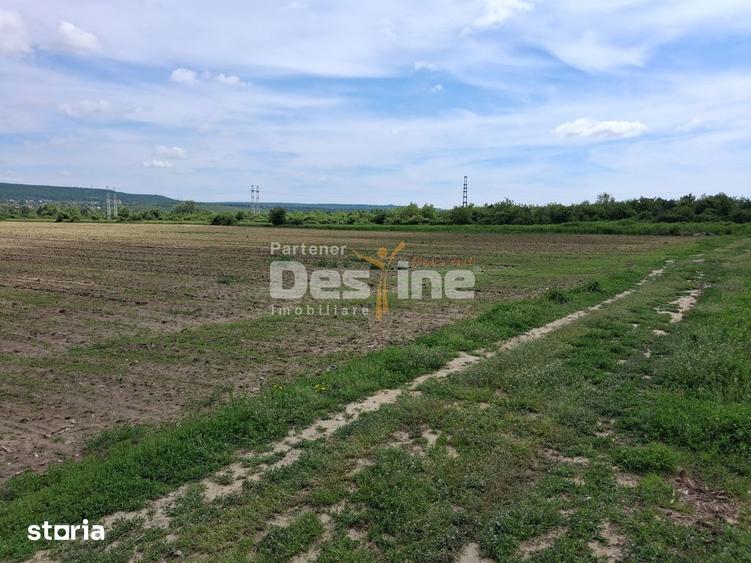 Teren Extravilan de Vanzare Maracineni, Sat Argeselu - 6