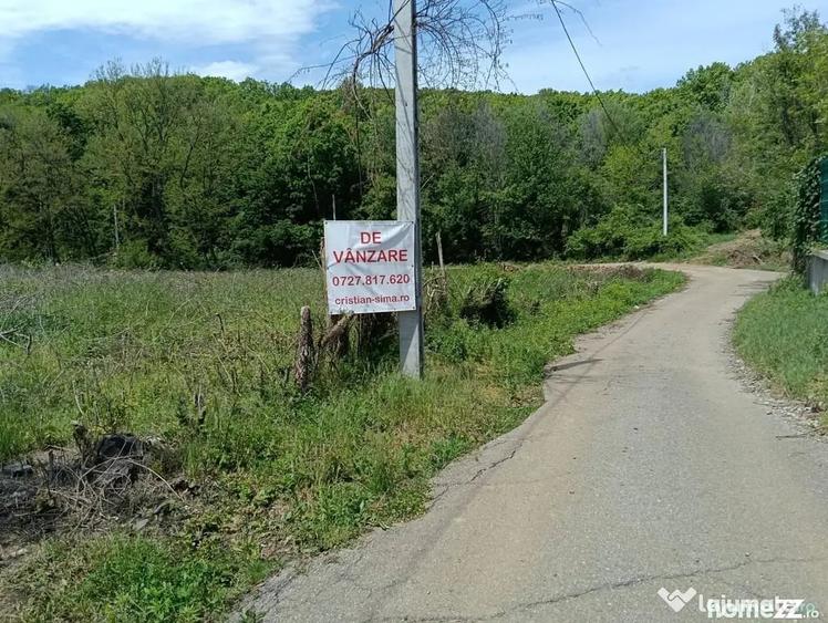 Teren de 1807 mp, în Cocorăștii Mislii