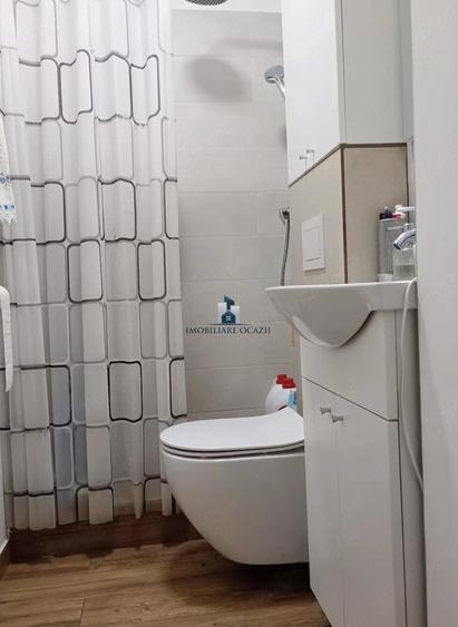 Vanzare Garsoniera Decomandata Berceni-Nitu Vasile - 5