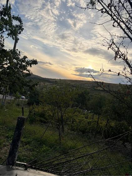Casă cu Teren 4600 Mp în Văleanca-Vilănești