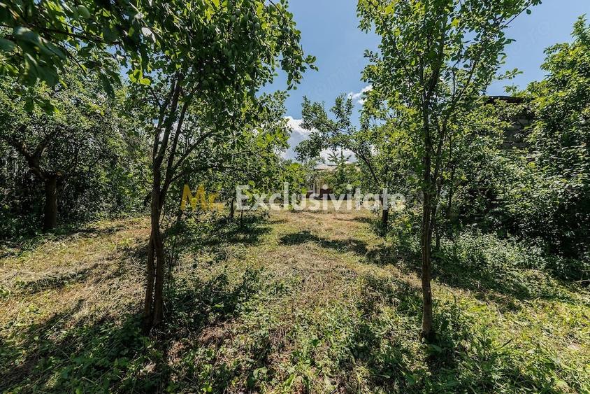 Casa cu teren - Prundu-Ideala pentru locuit sau dezvoltare imobiliara - 2