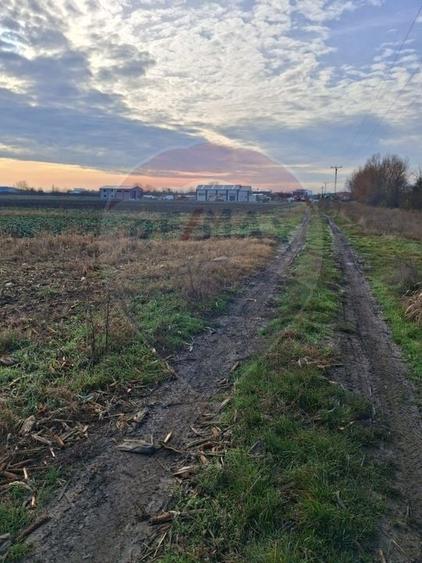 Teren agricol intravilan de 3400 mp, în Sântion