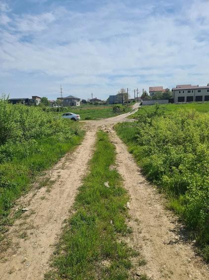 Teren de 618 mp, în Mogoșoaia