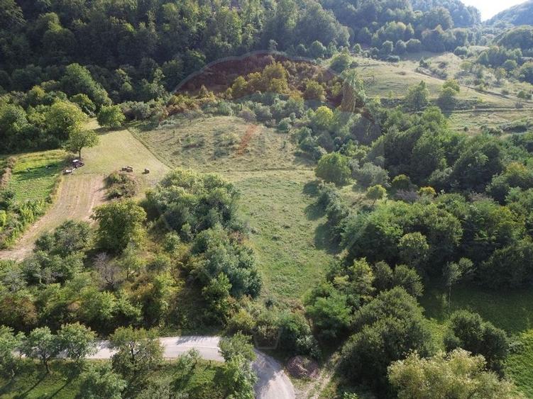 Teren Construcții de 16500 mp, în Măgureni