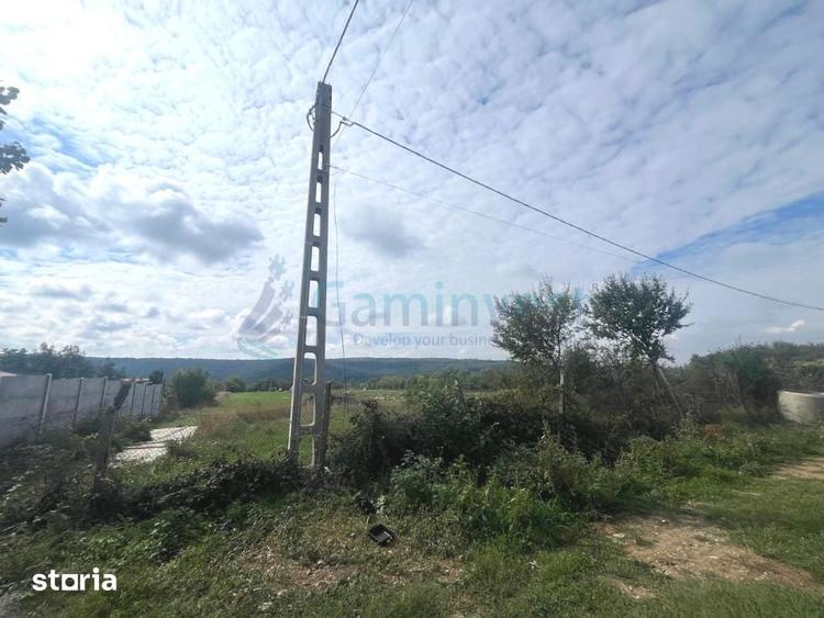 Teren de 3250 mp, în Betfia