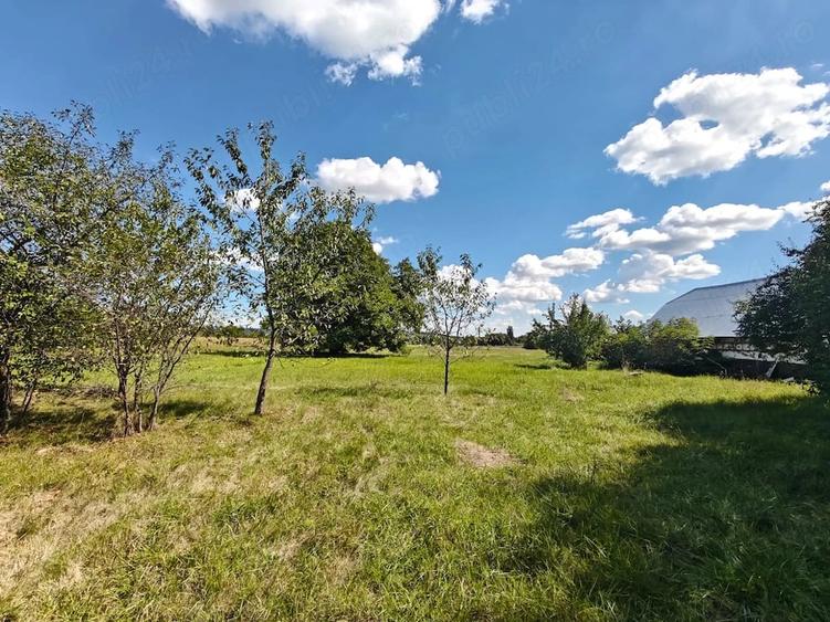 Teren de 32500 mp, în Oșlobeni