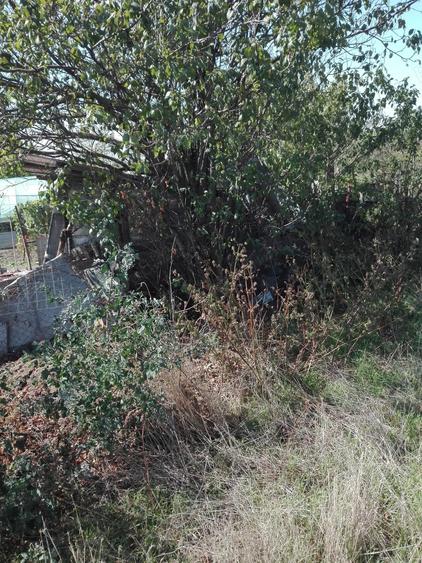 Teren de 2500 mp, în Băduleasa