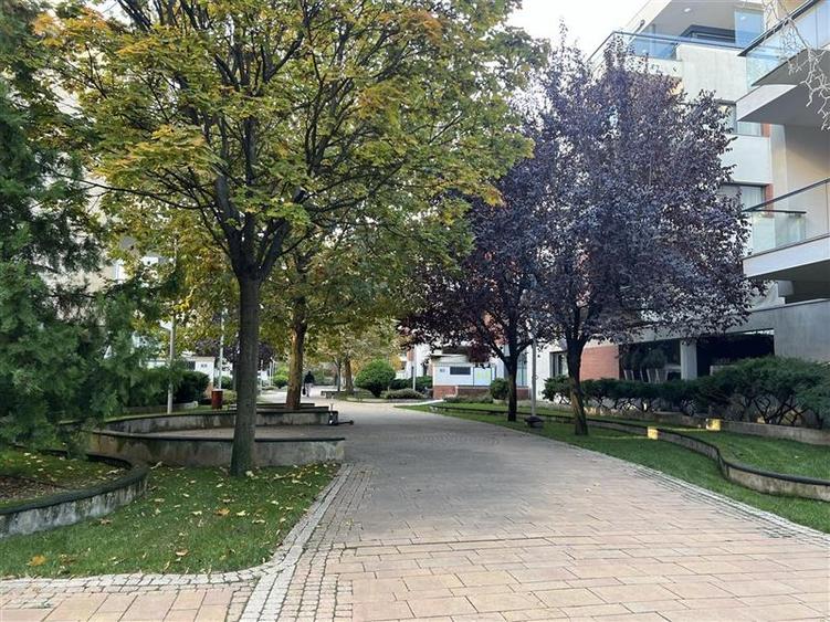 Apartament cu 4 camere decomandat, mobilat în Capitale