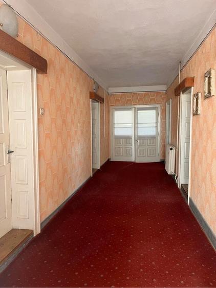 Casă cu Teren 6000 Mp în Urluiești