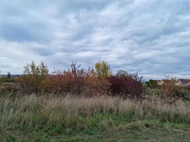 Teren Construcții intravilan de 705 mp, în Oșorhei