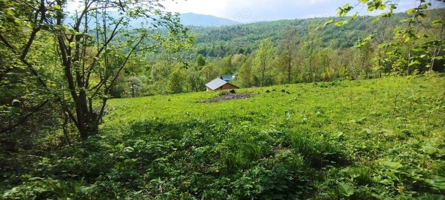 Teren intravilan la munte pentru casa , cabana , pensiune - 2