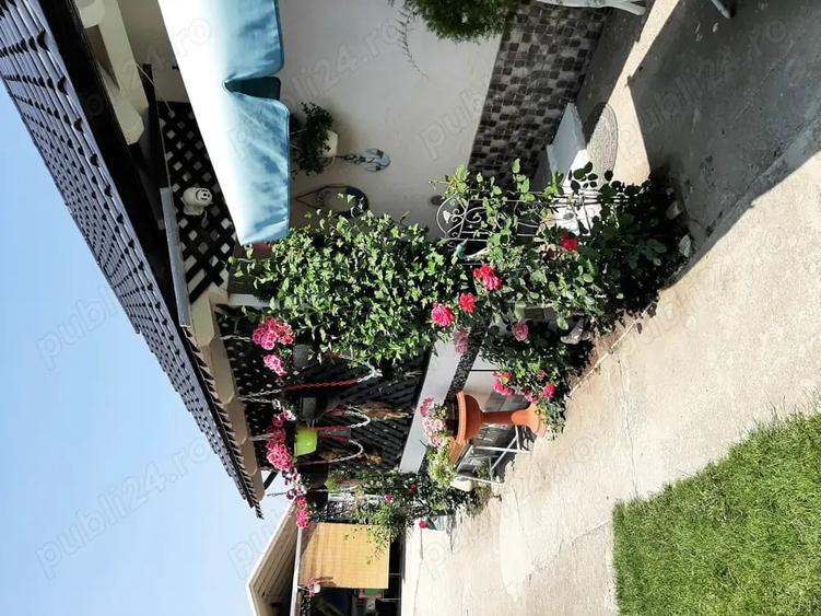 Casă cu 5 camere în Sânnicolau Mare
