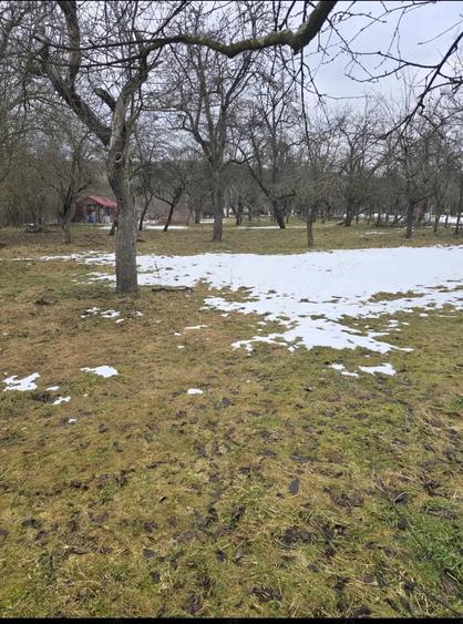 Casă cu 4 camere în Vlaha