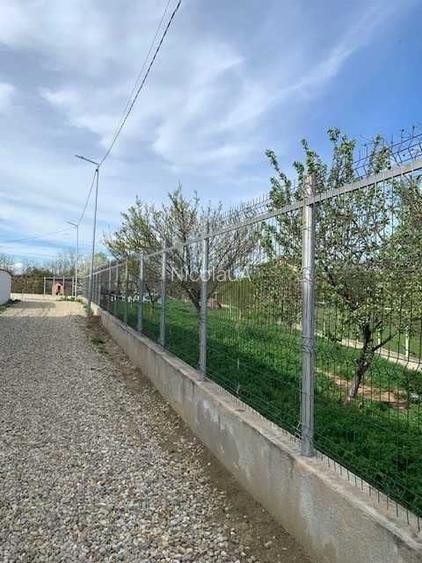 Teren 1.300 mp Palanca imprejmuit si amenajat, pomi fructiferi, utilitati
