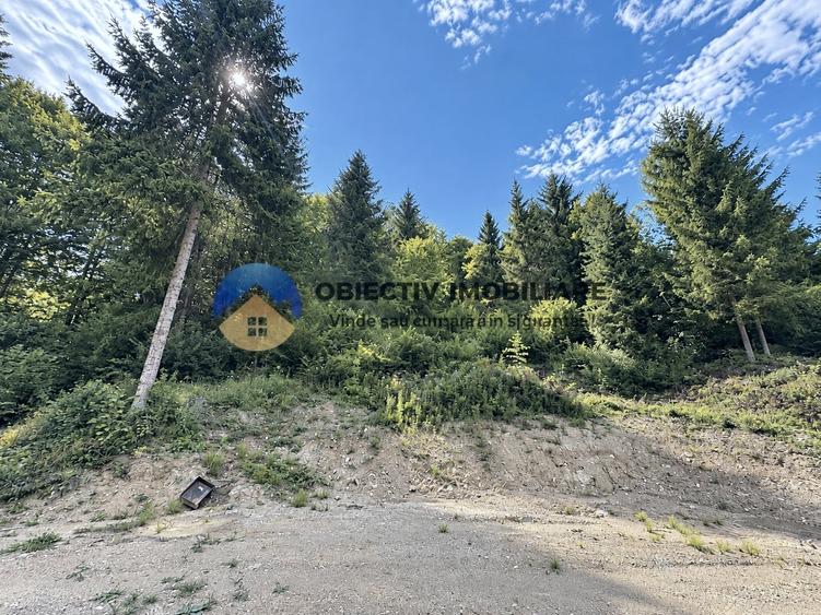 Teren intravilan de 4500 mp, în Pângărați
