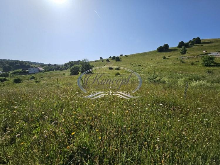 Teren Construcții intravilan de 2000 mp, în Sălicea
