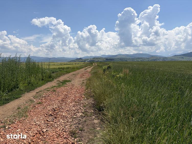 Teren extravilan de vanzare - 4300 mp - Tarlungeni, Brasov - 1