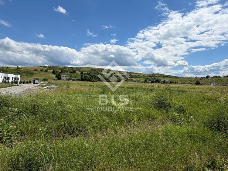 Teren Construcții intravilan de 6855 mp, în Sud