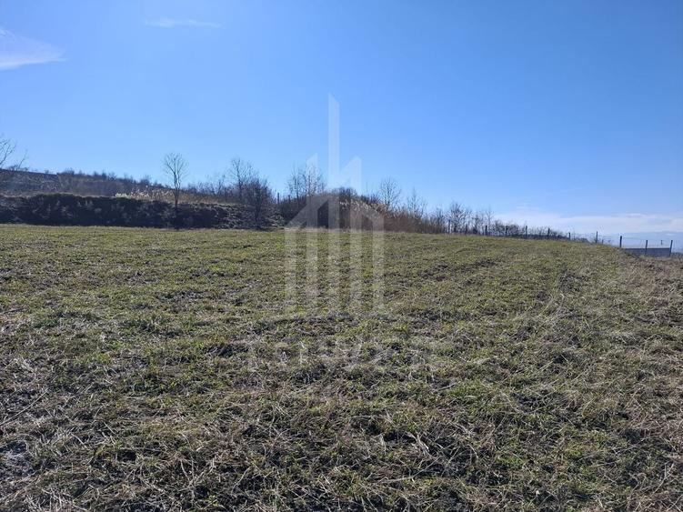 Teren Construcții intravilan de 439 mp, în Hamba