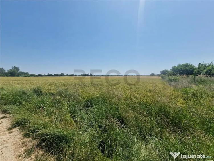 RECO teren intravilan in Fughiu 9 e/mp - 1