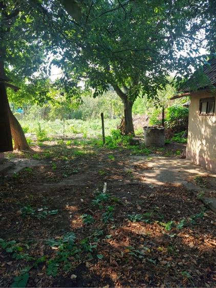 Casă cu 3 camere cu Teren 500 Mp în 6 Vânători